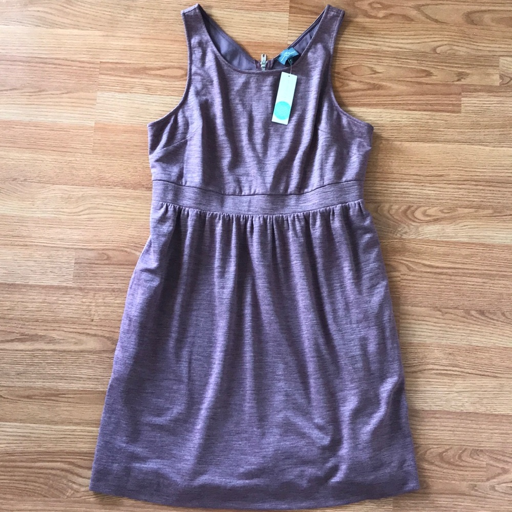 NWT Mauve fit flare dress